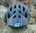 O´NEAL PIKE blau MTB Helm