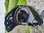 O'NEAL SONUS Helm SPLIT black teal Downhill MTB Fullface Helm Enduro