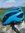 GIANT REV MIPS Roadbikehelm matte blue