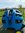 Giant Rail SX MIPS Enduro MTB Helmet blau