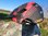 O´NEAL DEFENDER red-black MTB Helm